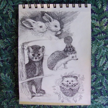 cute-animals-bunnies-hedgehog